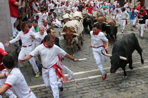 牛追い祭りの関連画像2