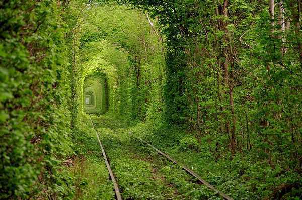 愛のトンネルのメイン画像