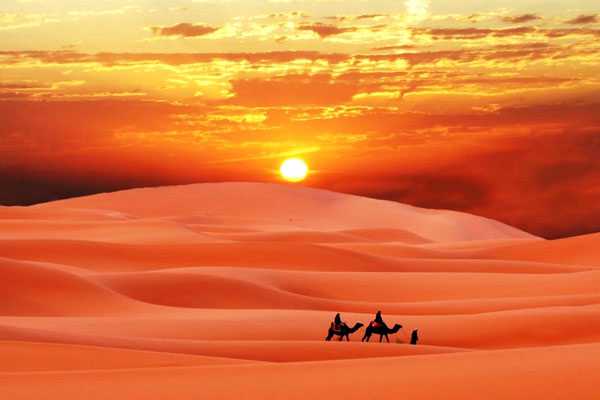 サハラ砂漠のメイン画像