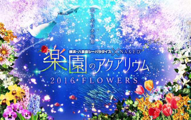 楽園のアクアリウム 2016 FLOWERSのメイン画像