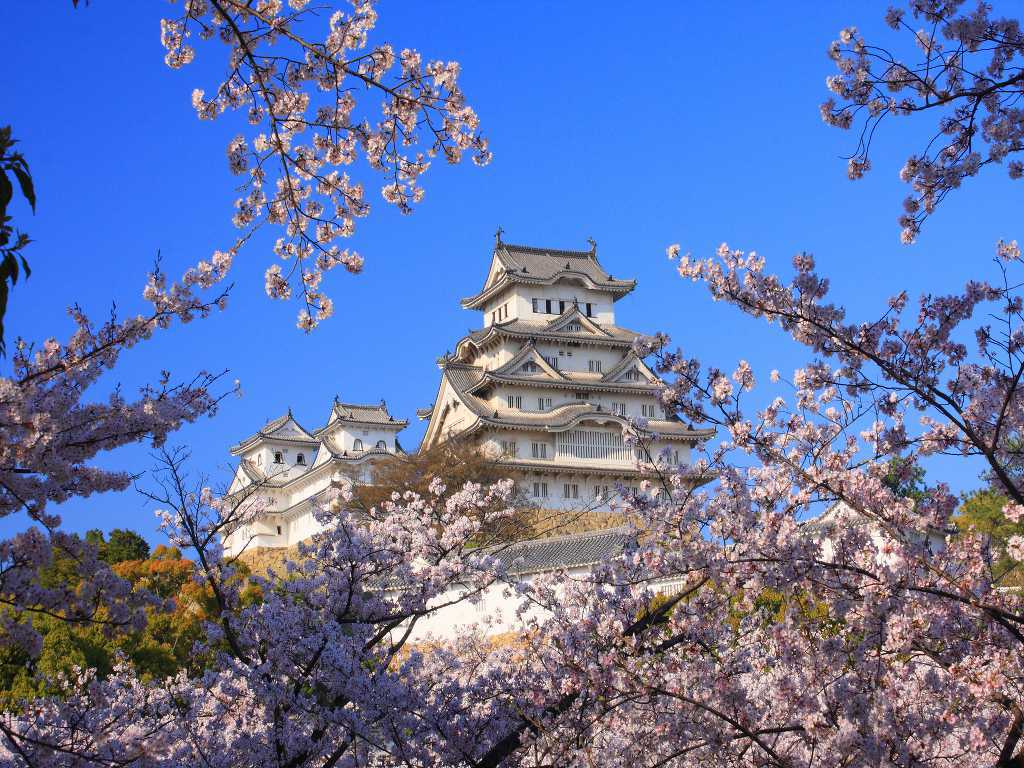 姫路城の関連画像1