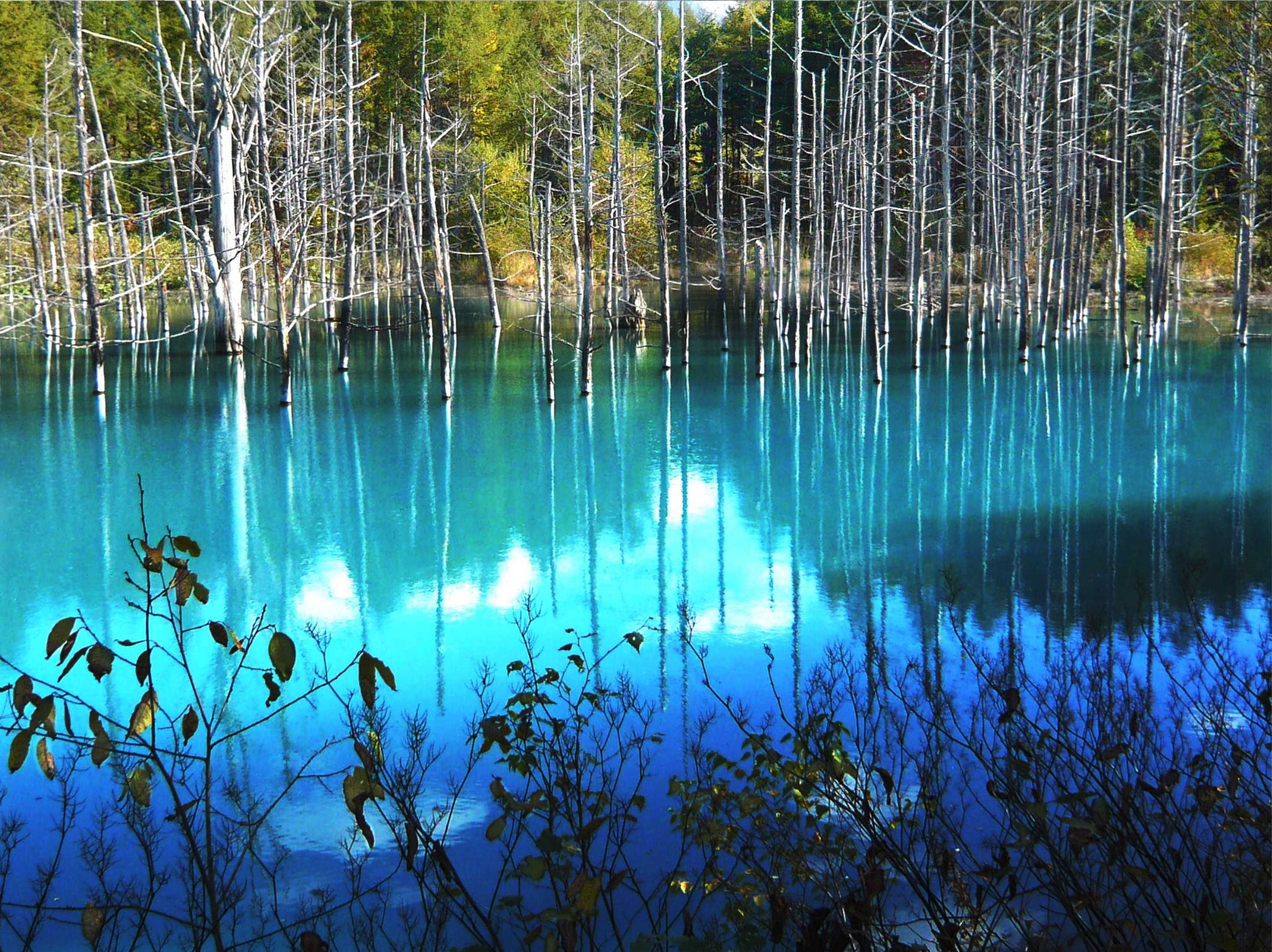 青い池のメイン画像